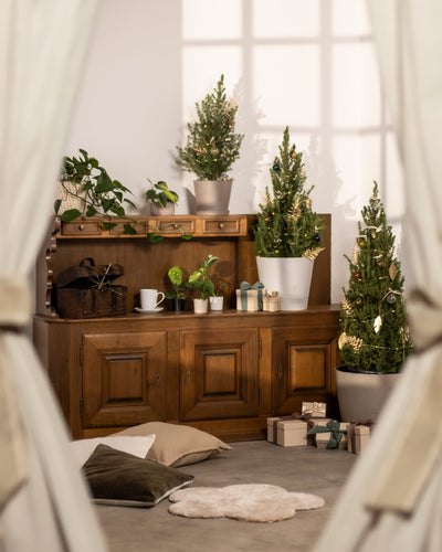 In dem gemütlichen Zimmer steht ein Holzschrank, der mit einem kleinen Weihnachtsbaum und Pflanzen dekoriert ist. Auf dem Schrank steht eine Tasse, darunter sind Geschenke angeordnet und auf dem Boden liegen Kissen verstreut. Cremefarbene Vorhänge rahmen die Szene ein.