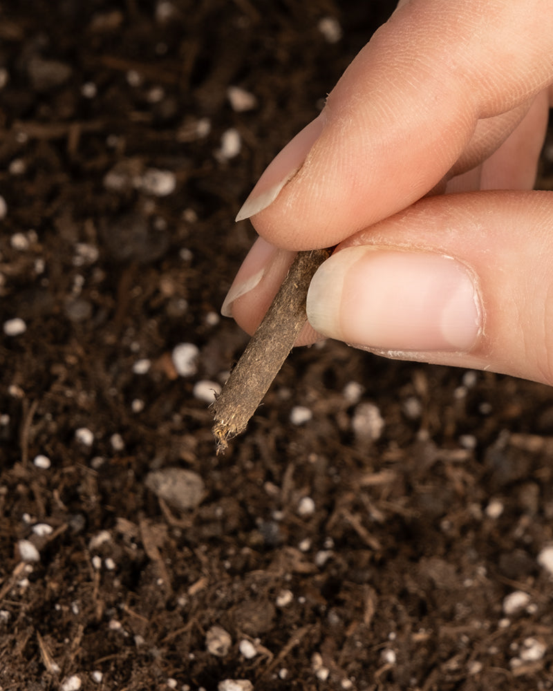 Zwei Finger halten ein Dünger Pellet von feey