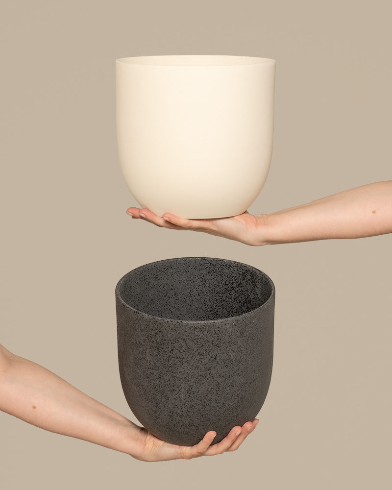 Zwei Hände, die jeweils von gegenüberliegenden Seiten des Bildes ausgehen, halten zwei runde, luftige Keramik-Töpfe (Direito | 22 cm ⌀) in einer minimalistischen, neutralen Umgebung. Der obere Übertopf ist cremefarben, während der untere dunkelgrau und gesprenkelt ist. Der Hintergrund ist schlicht beige.