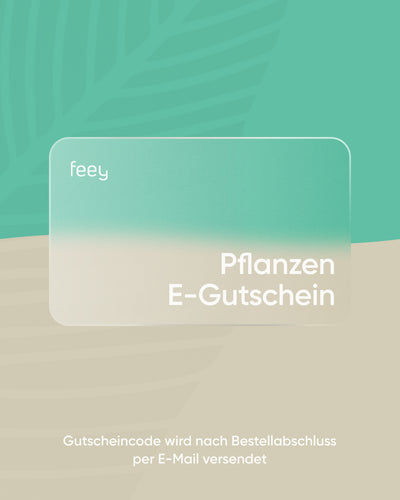 Eine digitale Geschenkkarte für „feey“ zeigt einen Farbverlauf aus Grün und Beige mit dem Text „Pflanzen E-Gutschein“. Der Hintergrund ist dezent mit einem Blättermuster verziert. Beim Kauf wird der Gutscheincode für diesen E-Gutschein per E-Mail zugestellt.