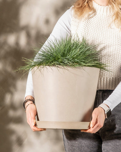 Eine Person mit blonden Haaren, die ein weißes Langarmshirt unter einer cremefarbenen Strickweste trägt, hält einen Kunststoff Pflanzkübel (Amsterdam | 30 cm ⌀) mit saftig grünem Gras. Der Hintergrund ist unscharf, wodurch die Person und die Pflanze hervorgehoben werden.