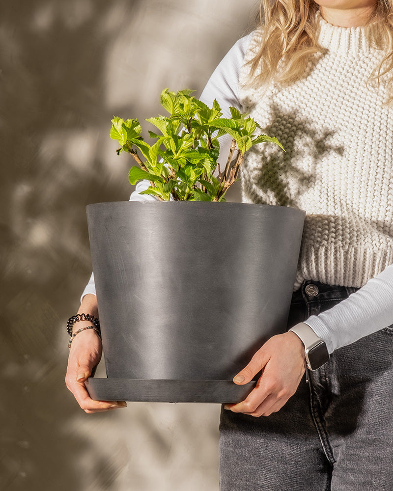 Eine Person mit langen blonden Haaren, einem weißen Pullover und grauen Hosen trägt, hält einen großen Kunststoff-Pflanzkübel (Amsterdam | 30 cm ⌀) mit einer grünen Blattpflanze darin. Der Hintergrund ist sanft beleuchtet, wobei Schatten einen strukturierten Effekt erzeugen. Das Gesicht der Person ist nicht sichtbar.