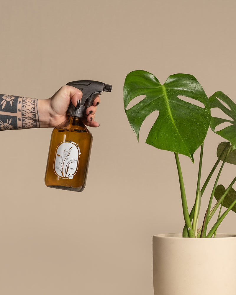 Hand hält einen Pflanzensprüher von feey in der Hand und benetzt eine Monstera