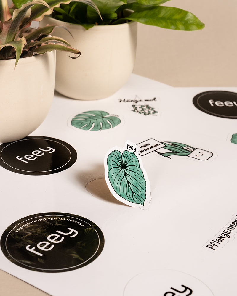 Eine Sammlung von Feey-Stickerbögen wird auf einer hellen Oberfläche neben zwei Topfpflanzen präsentiert. Die kreativen Köpfe hinter diesen Designs haben das Feey-Logo, grüne Blätter und eine Pflanze mit einer Sprechblase in die verschiedenen Pflanzenmotive aufgenommen.