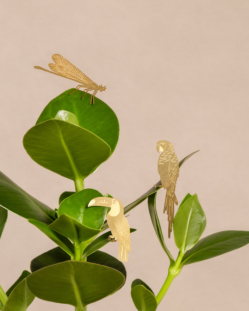 Eine Pflanze mit glatten, ovalen grünen Blättern dient als Hintergrund für drei goldene Metallornamente: eine Libelle sitzt auf dem oberen Blatt und zwei Papageien auf den unteren Blättern. Dieser bezaubernde tierische Pflanzenhänger verleiht dem weichen beigen Hintergrund einen Hauch von Eleganz.