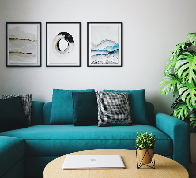 Grosse Monstera hinter dem blaugrünen Sofa vor der weissen Wand mit akkurat angeordneten Bildern