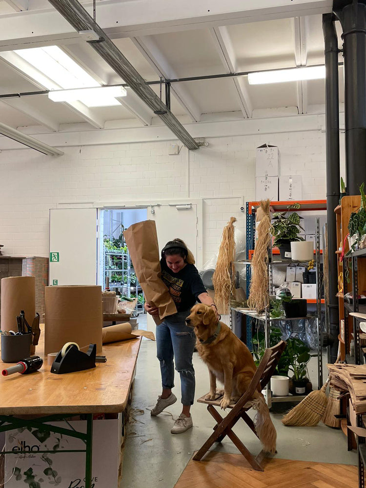 Sarah wird beim Verpacken von Golden Retriever Emma angesprungen