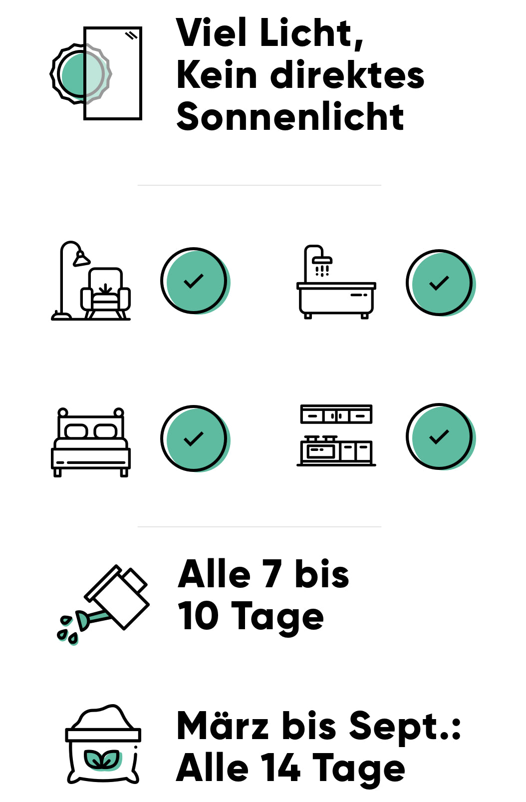 Pflege des Wunderstrauchs: viel Licht, alle 7-10 Tage giessen, im Frühling und Sommer alle 14 Tage düngen