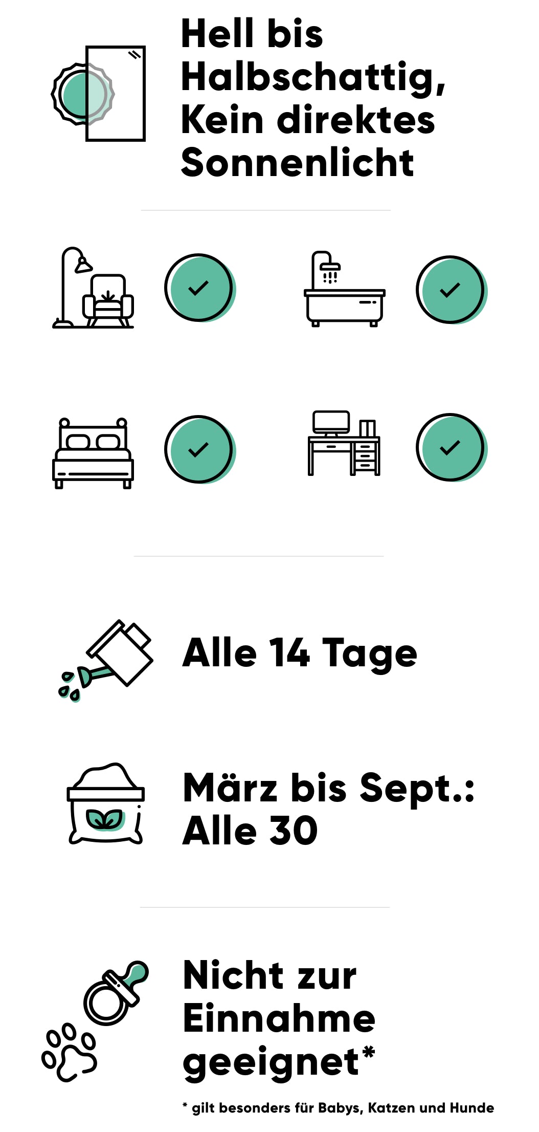 Pflege der Glücksfeder: hell bis halbschattig ohne direkte Sonne, alle 14 Tage giessen, im Frühling und Sommer alle 30 Tage düngen