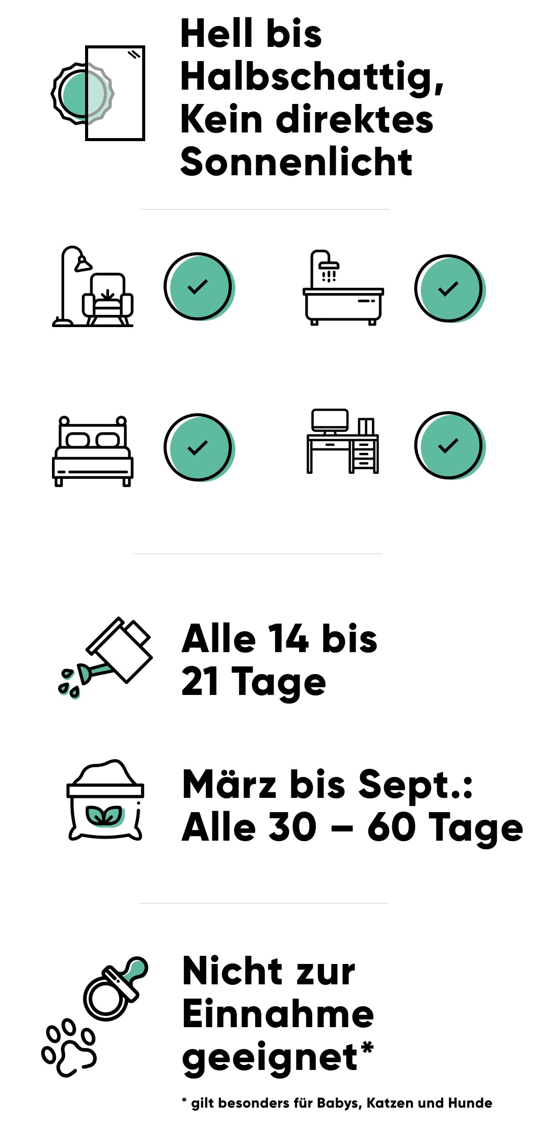 Pflege der Sansevieria: hell bis halbschattig ohne direkte Sonne, alle 14-21 Tage giessen, im Frühling und Sommer alle 30-60 Tage düngen