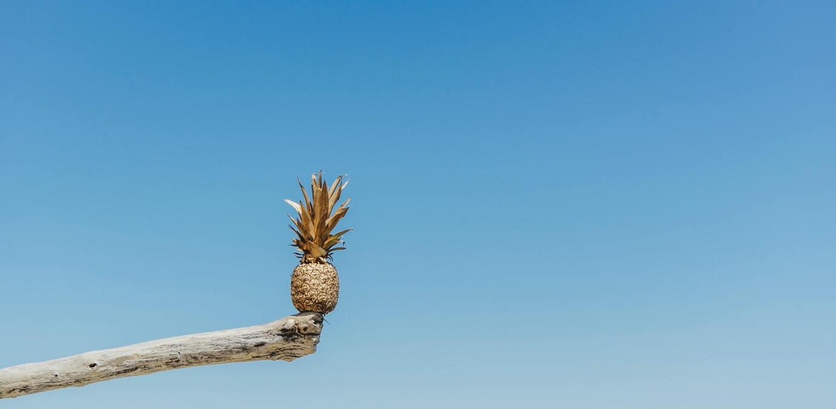 Ananas auf einem Stück Treibholz vor stahlblauem Himmel