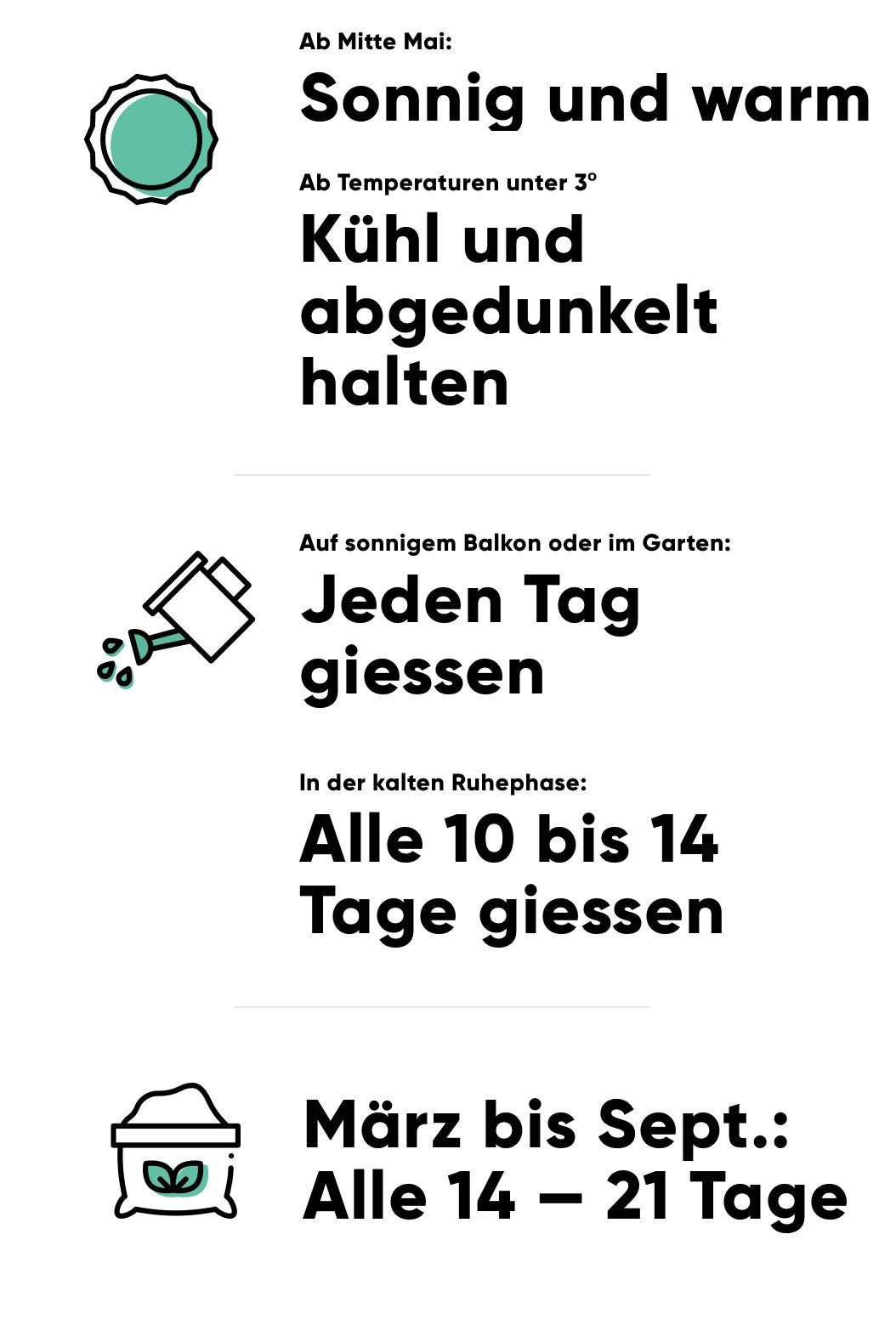 Pflege des Zitronenbaums: sonnig und warm stehend halten oder im Winter kühl und dunkel, jeden Tag giessen oder im Winter alle 10 bis 14 Tage, von März bis September alle 14-21 Tage düngen